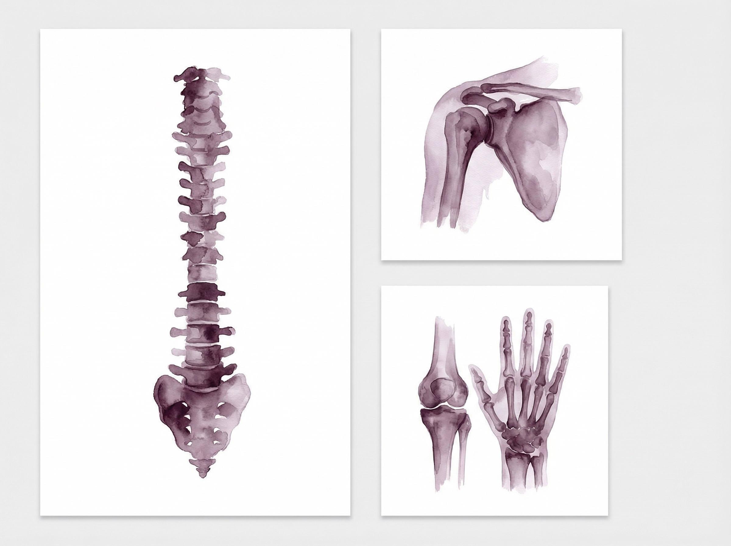 Orthopädie